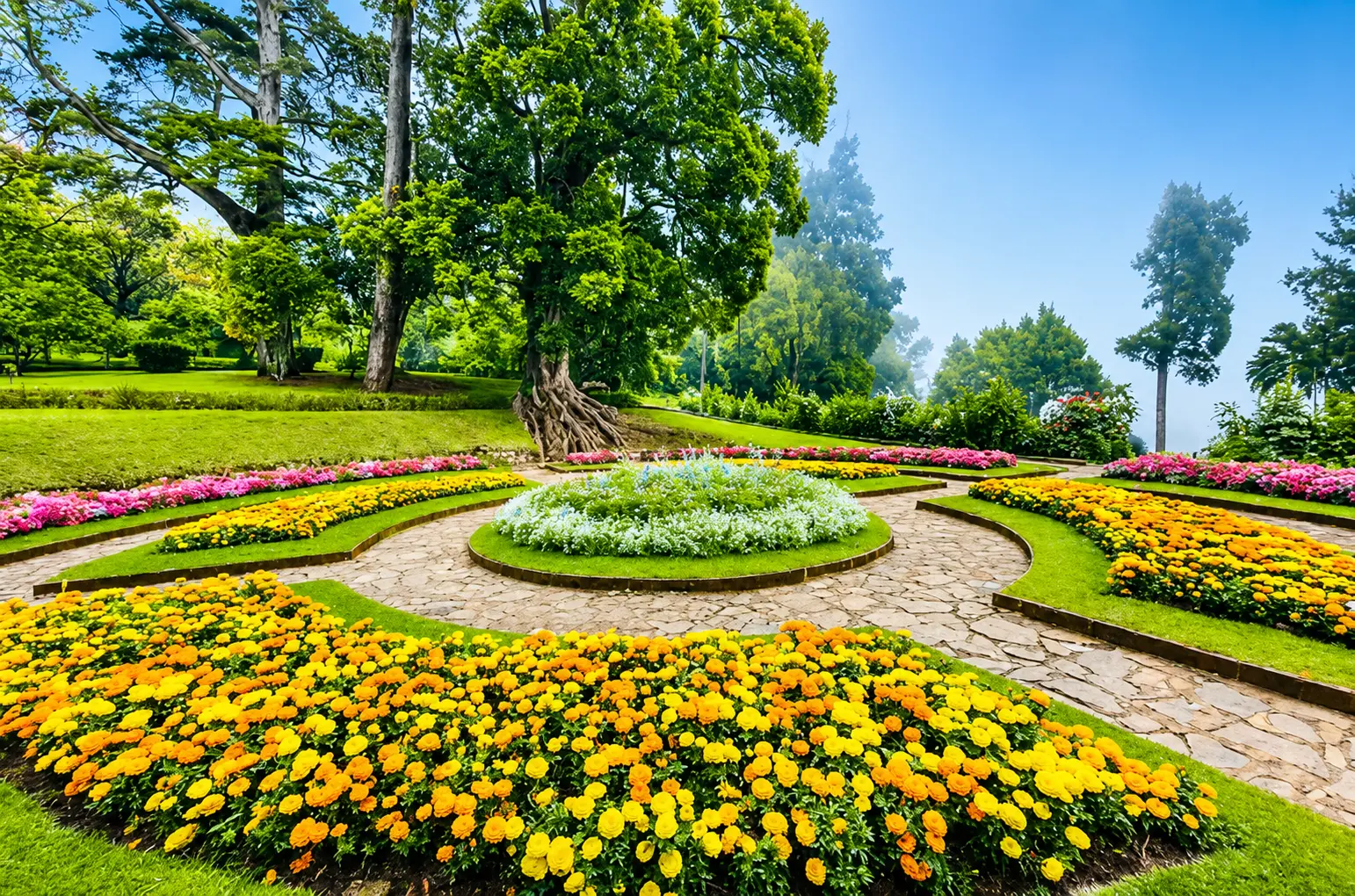 Hakgala Botanical Gardens with rare orchids